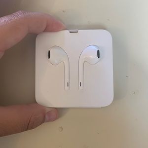 Regular iPhone headphones